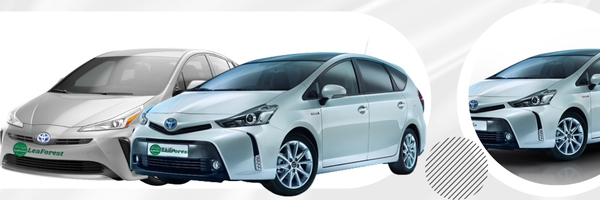 LEAFOREST PCO Fleet